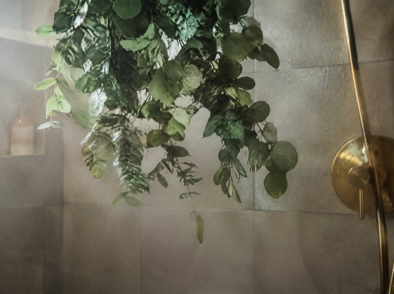 Eucalyptus in the Shower: A Small Daily Luxury